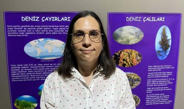 Çanakkale Boğazı'nda deniz çayırlarının azalması biyoçeşitliliği tehdit ediyor