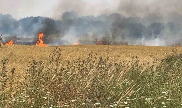 Çanakkale'de 45 dönüm tarım arazisi yanarak kül oldu
