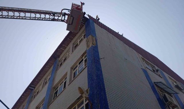 Çatıda mahsur kalan baykuşları itfaiye kurtardı