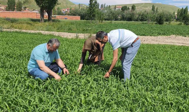 Çayır mera kontrolleri devam ediyor