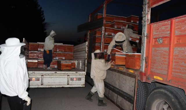 Çiftçiye arılı kovan dağıtıldı