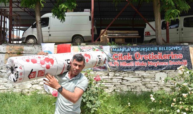 Çilek üreticisine büyükşehirden naylon desteği