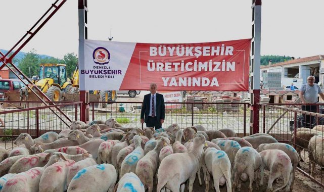 Denizli'de küçükbaş hayvancılığa 7,5 milyon liralık destek