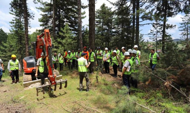 Denizli'de yeni ormanlar planlı olarak kuruluyor
