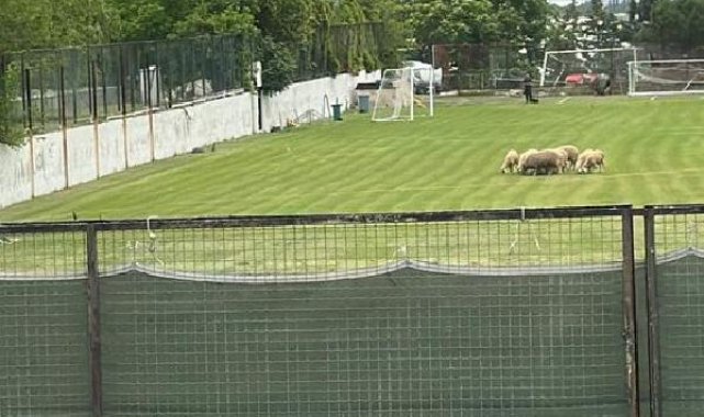 Denizlispor'da şaşırtan görüntü