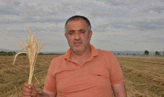 Depremzede çiftçilerin devlet desteği ile ektikleri yem bitkisi hasadı başladı