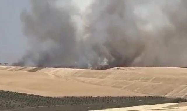 Diyarbakır'da 100 dönüm alanda ekili buğday yandı