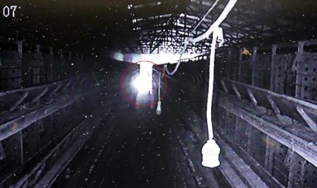 Diyarbakır'da çiftlikte çıkan yangında 12 bin 500 tavuk öldü