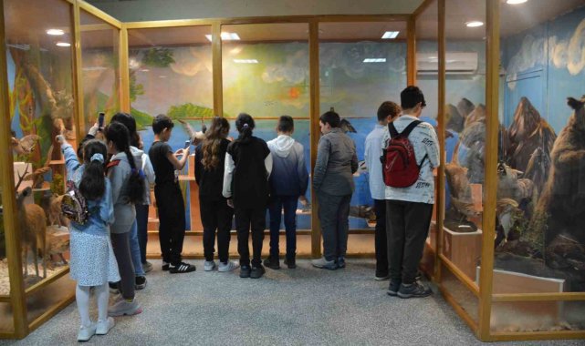 Doldurulmuş hayvan müzesi öğrencilerin ilgisini çekti