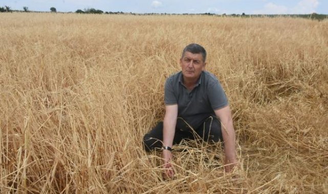 Edirne'de 5 bin dekar ekili alan doludan zarar gördü