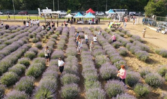 Edirne'de Lavanta Tarla Günleri, kapılarını ziyaretçilere açtı