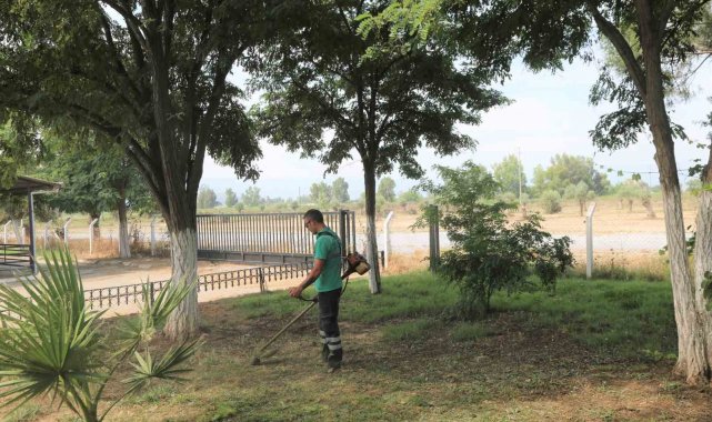Efeler'de hayvan pazarı bayrama hazır