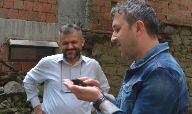 Ender görünen Ebabil kuşu iş yerine ikinci kez geldi