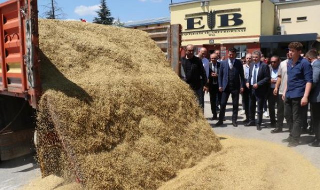 Eskişehir'de çiftçinin yüzü yağışlarla güldü