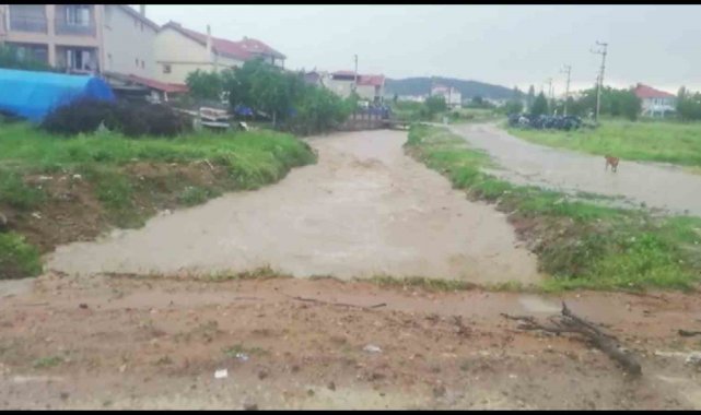 Eşme'de yağış hayatı olumsuz etkiledi