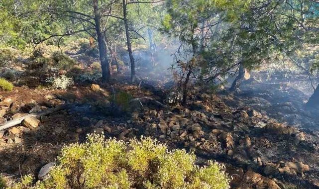Fethiye İnlice Koyu'nda çıkan orman yangını söndürüldü