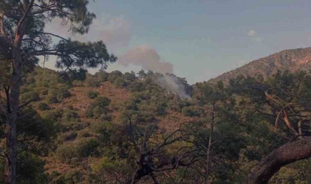 Fethiye'de orman yangını