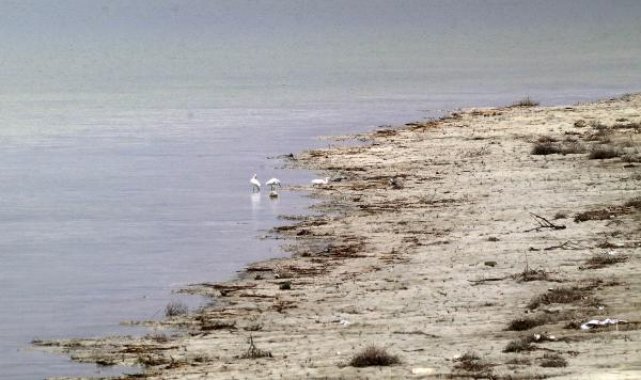 Gölden 20 metre uzaklaşan iskeleye 'Göl yoksa Burdur yok' yazılı çelenk koydular