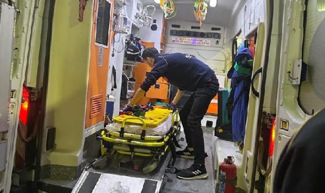 Hafif ticari araç, ineğe çarptı: 3 yaralı