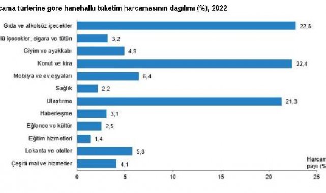 Harcamalarda en yüksek pay gıda, en düşük pay eğitimin