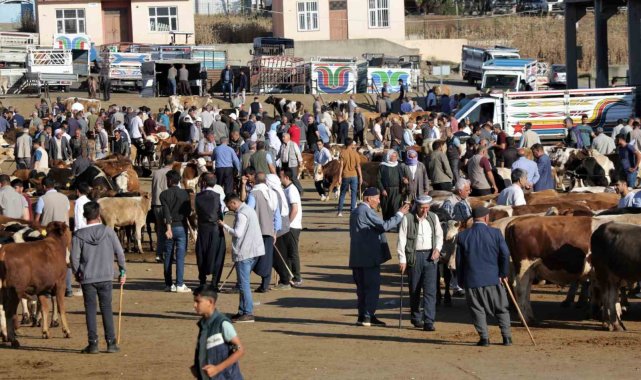 Hayvan pazarında hareketlilik başladı