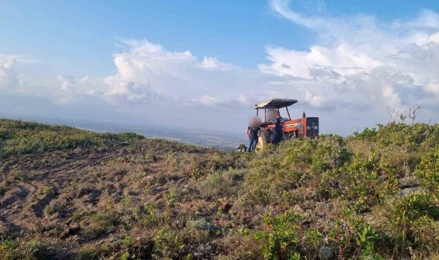 Hazineye ait arazide yol açarken yakalandılar