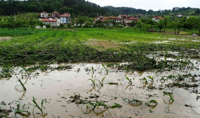 Hisarcık'ta sağanak yağış sonrası tarım arazileri sular altında kaldı