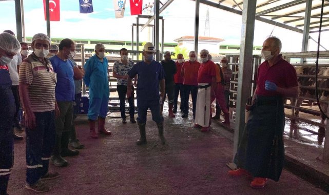İslami usullere uygun kurban kesimi için eğitim veriliyor