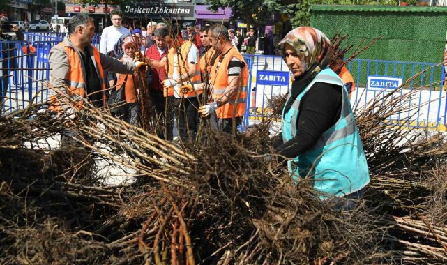 Isparta Belediyesinin dağıttığı fidan sayısı 72 bine ulaştı