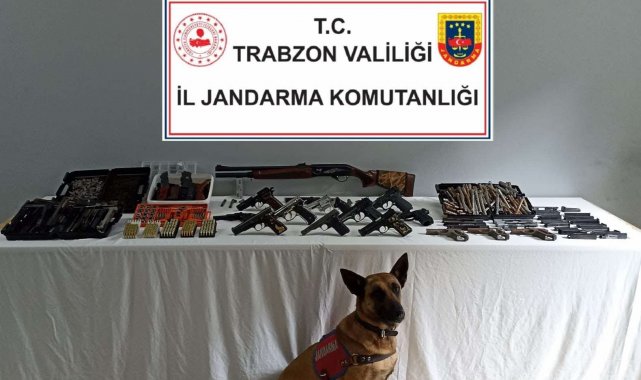 Jandarma timlerinden çifte operasyon