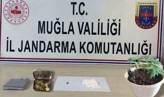 Jandarmadan Muğla genelinde uyuşturucu operasyonu