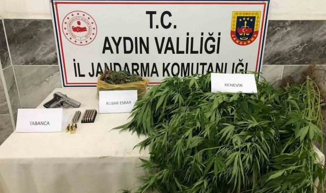 Jandarmadan uyuşturucu operasyonu: 1 gözaltı