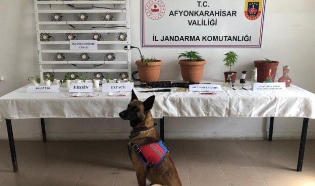 Jandarmadan uyuşturucu tacirlerine geçit yok