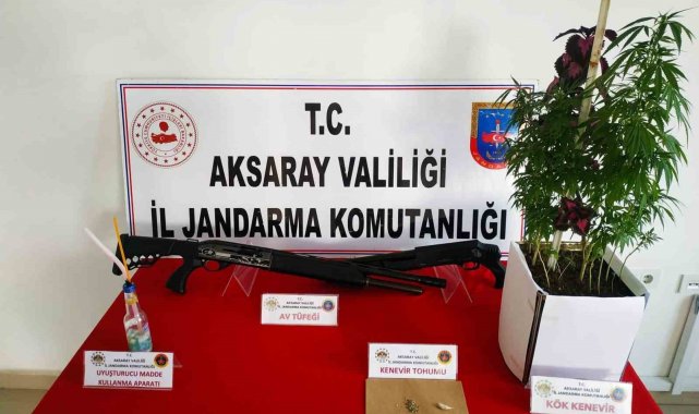 Jandarmadan uyuşturucu ve kaçak silah operasyonu