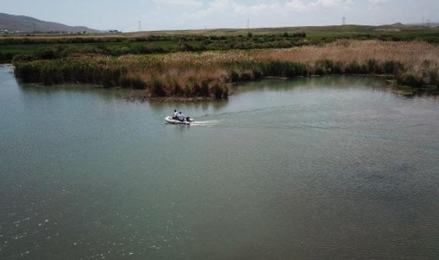 Jandarmanın dron ve botlu nöbeti ile Van Gölü'ndeki inci kefali stoku 50 bin tona çıktı