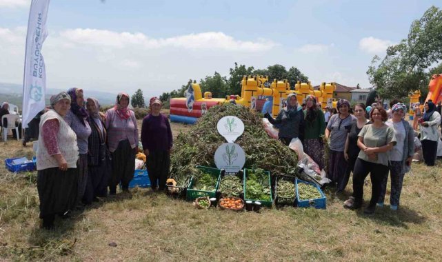 Kadın çiftçilerin yetiştirdiği arakanın ilk hasadı yapıldı