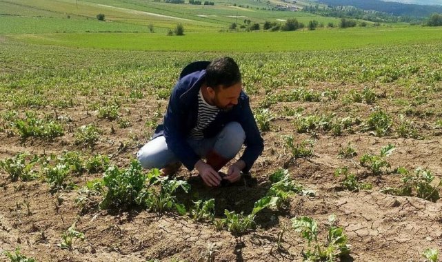 Kastamonu'da selin vurduğu alanlarda hasar tespit çalışmaları devam ediyor