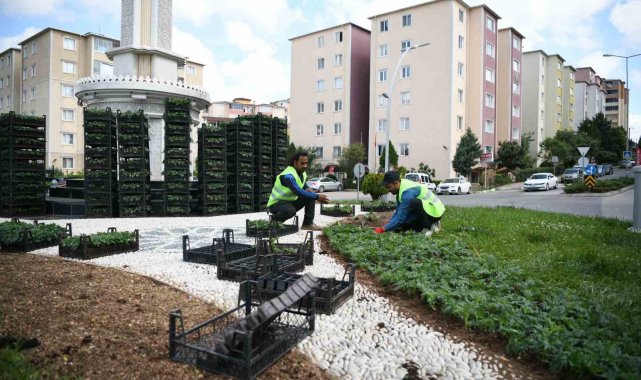 Kavşaklar mevsimlik çiçeklerle güzelleşiyor