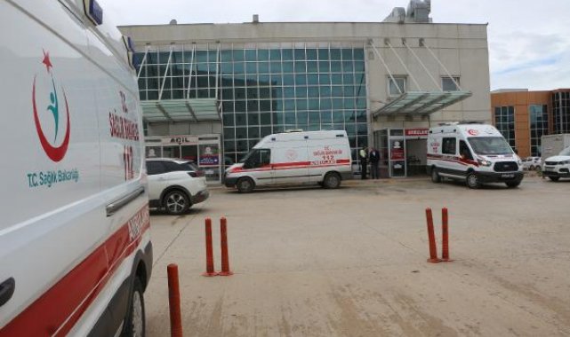 Kestiği ağacın çarptığı keresteci, öldü