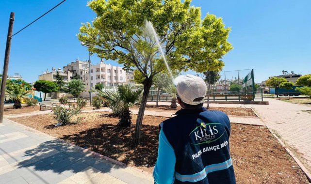 Kilis'te ilaçlama çalışmaları devam ediyor