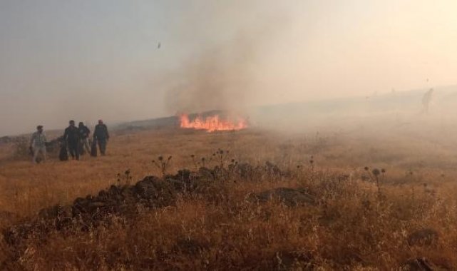 Kilis'te mera yangını