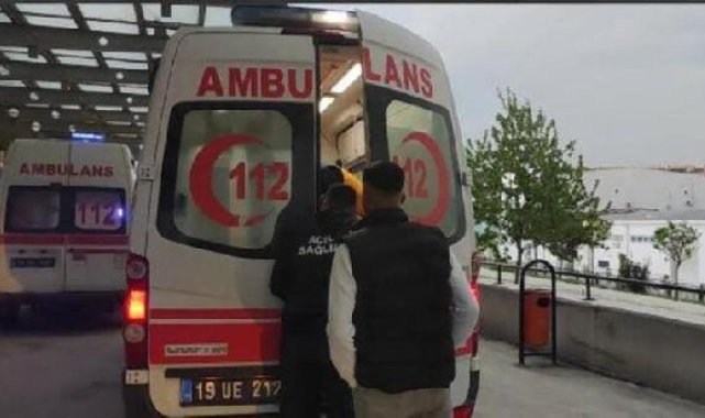 Kooperatif bekçisi, ağaçtan erik toplayan kişiyi vurdu
