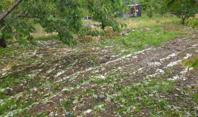 Kuraklıktan endişe eden çiftçiyi dolu ve yağışlar vurdu