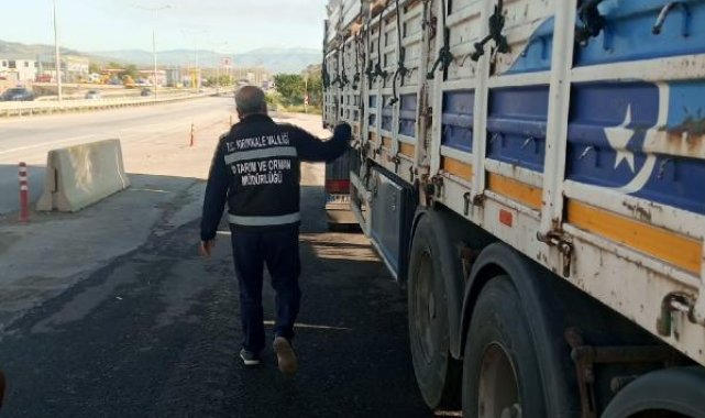 Kurbanlık bilgileri 'TarımCebimde' uygulamasından sorgulanabiliyor