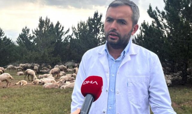 Kurbanlıklar için 'antibiyotik' uyarısı