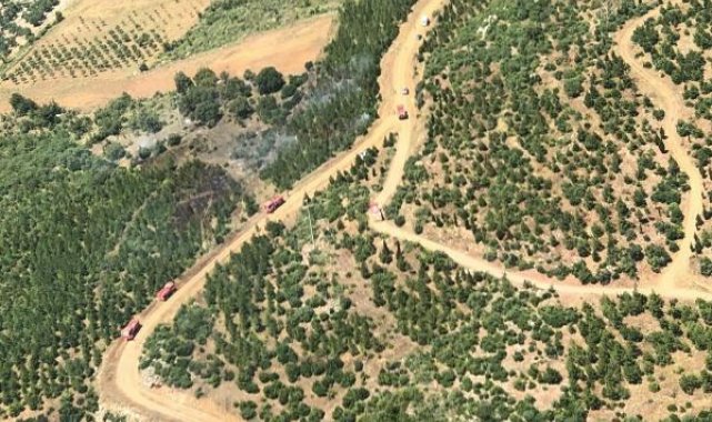 Manisa'da orman yangını