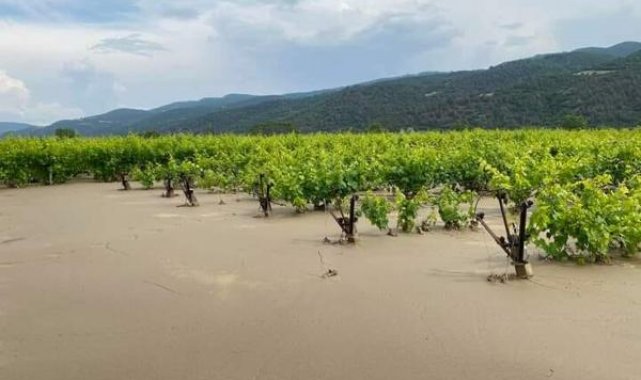 Manisa'da sağanak etkili oldu, üzüm bağları göle döndü