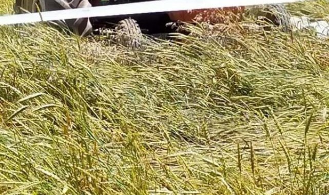 Manisa'da traktör devrildi; sürücü yaralı, eşi öldü