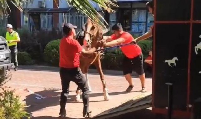 Manisa'daki törende ata uygulanan şiddete yönelik yoruma bin 300 lira ceza