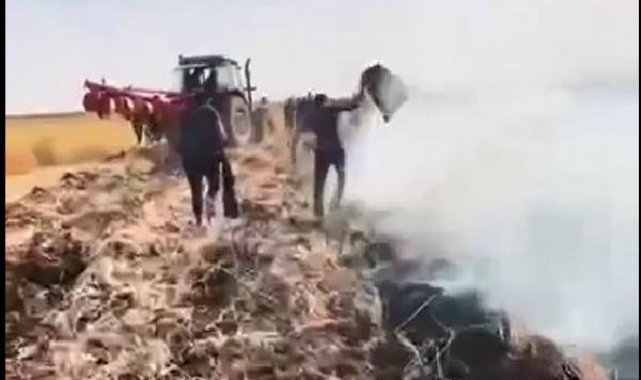 Mardin'de 150 dönüm alanda ekili buğday yandı